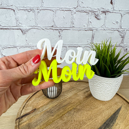 3D Schriftzug Moin