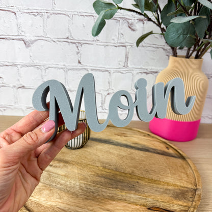 3D Schriftzug Moin