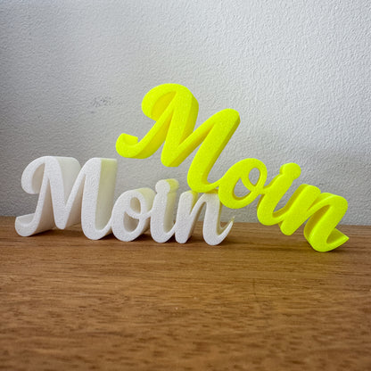 3D Schriftzug Moin