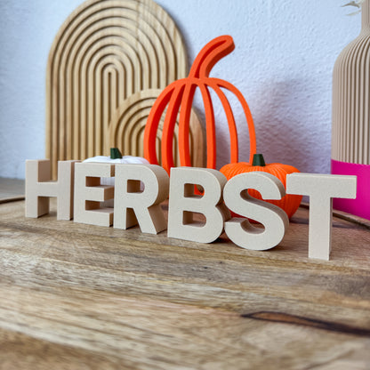 3D Buchstaben HERBST in Beige, Nahaufnahme mit Kürbissen und Trockenblumen im Herbst-Setting