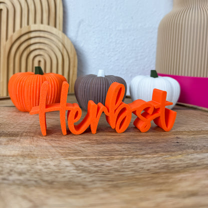 Herbst Schriftzug – 3D Herbstdeko